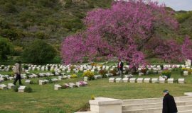 Gallipoli Day Tour From Istanbul