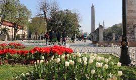 Istanbul Historical Tours