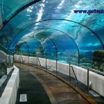 sea life aquarium